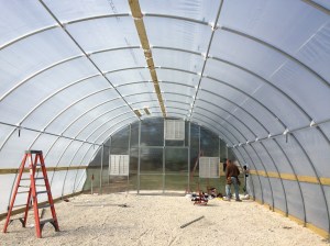 The new outside from the inside